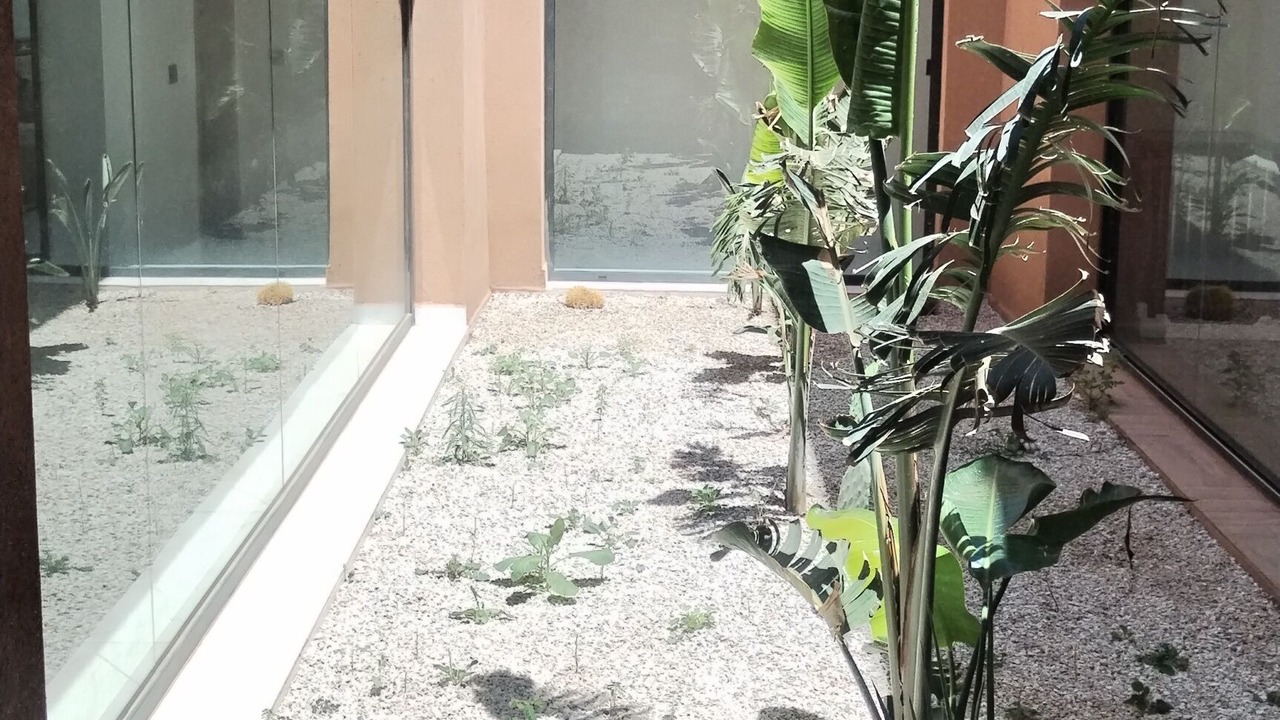 Photo of Outdoor in Douar Sidi Youssef Ben Ali