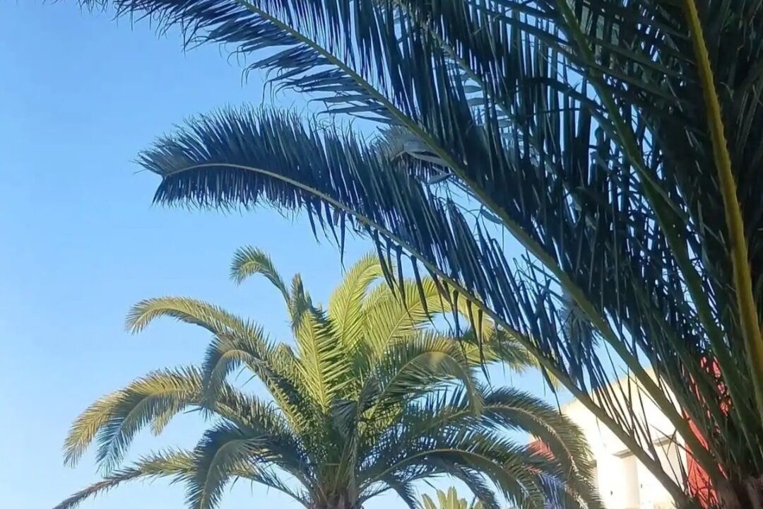 Photo of Outdoor in El Jadida