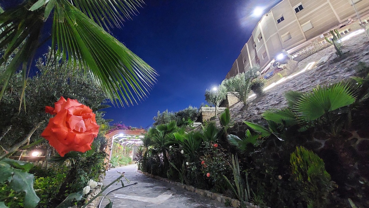 Photo of Outdoor in Beni Ansar