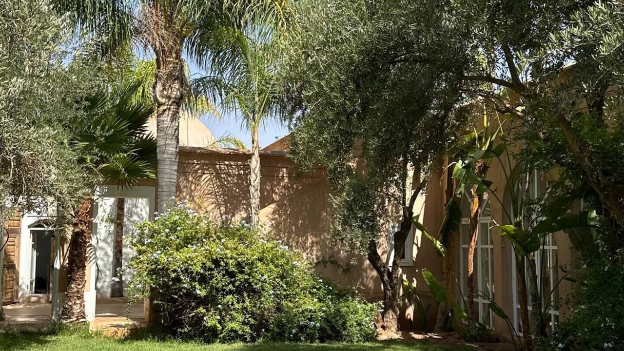 Photo of Outdoor in District of Sidi Youssef Ben Ali