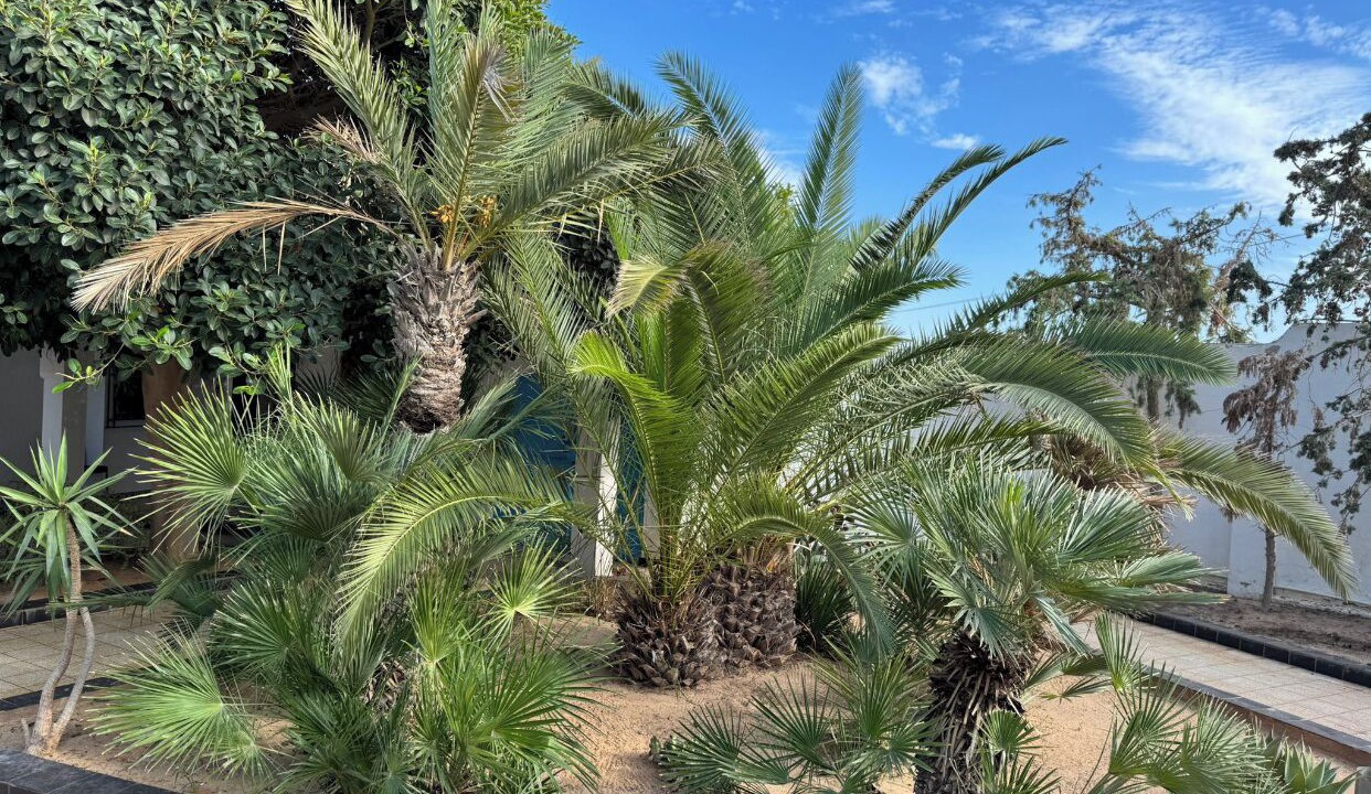 Photo of Outdoor in Mezraia
