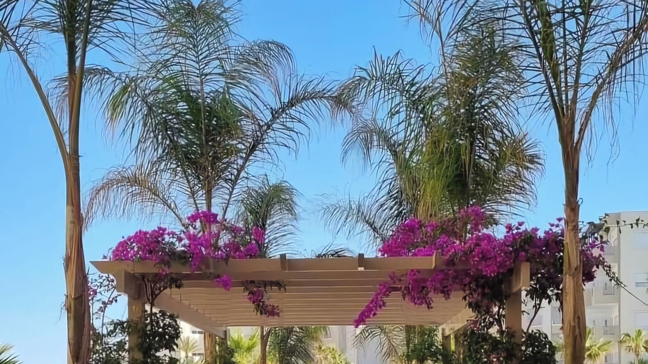 Photo of Outdoor in Monastir