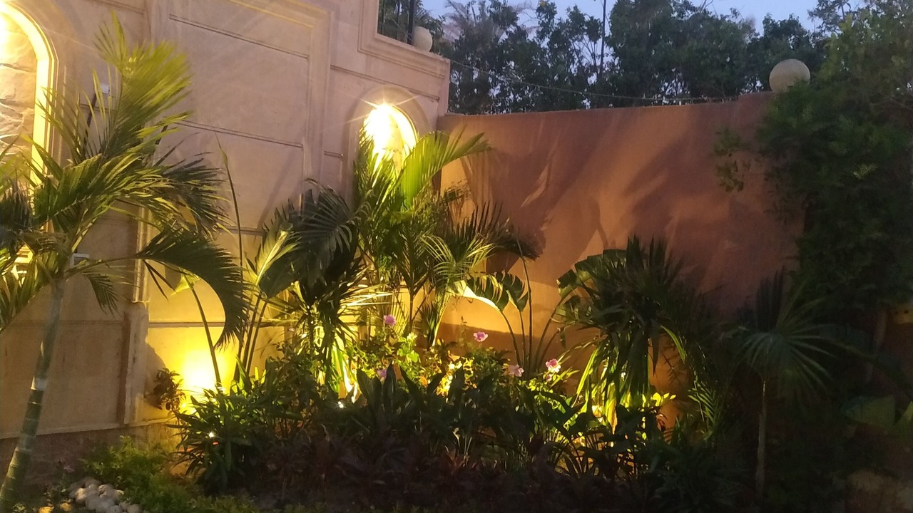Photo of Outdoor in Giza Governorate
