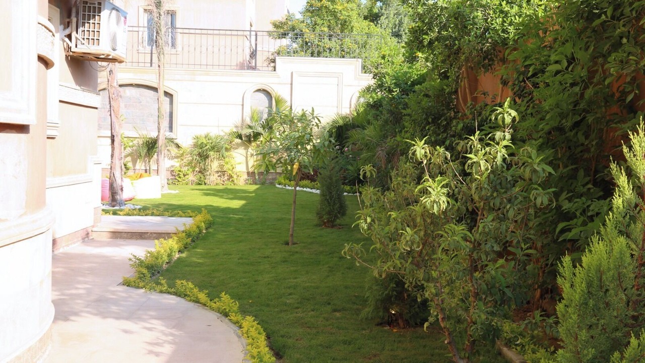 Photo of Outdoor in Giza Governorate