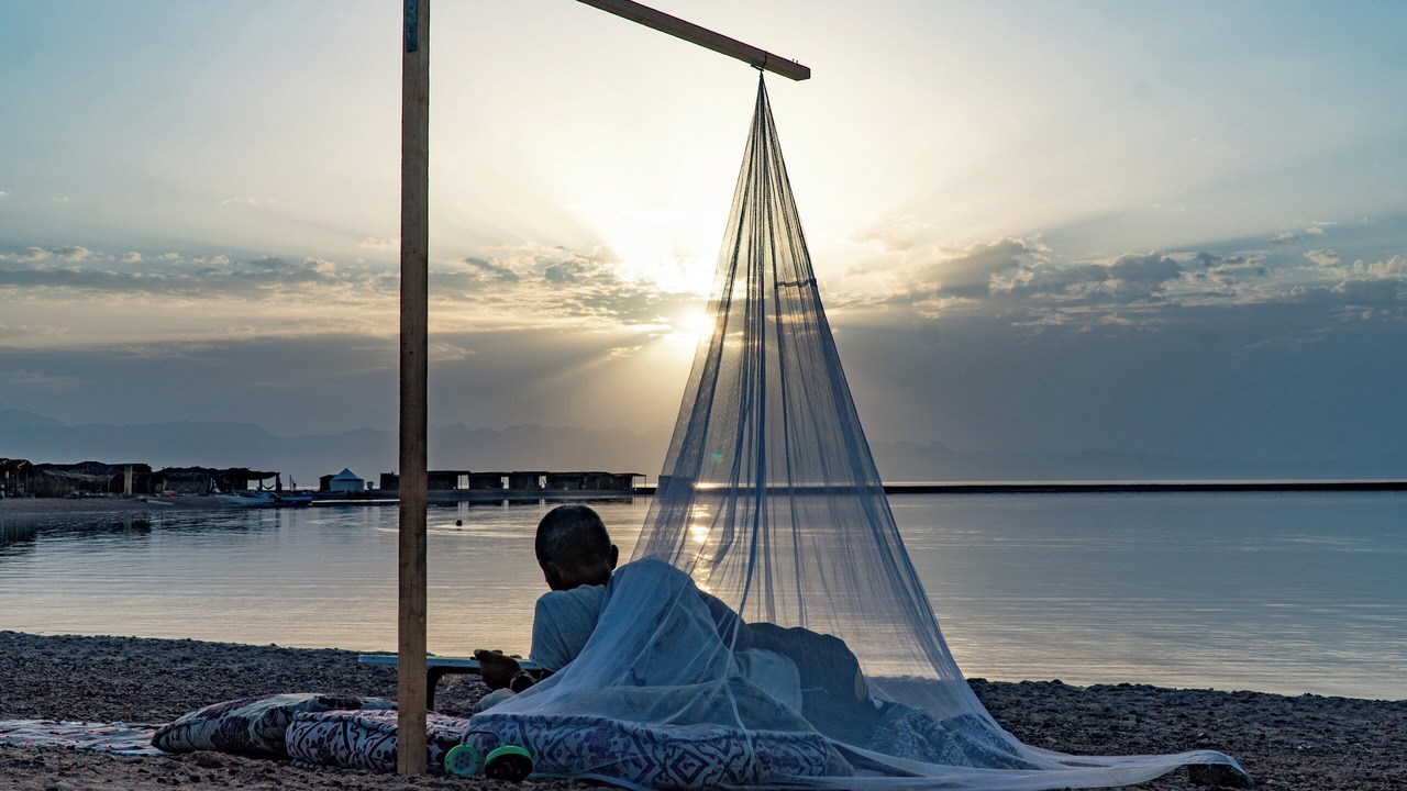 Photo of Others in Dahab