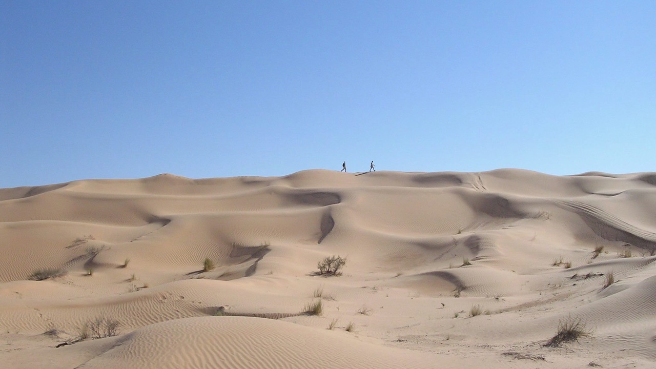 Photo of Others in Douz
