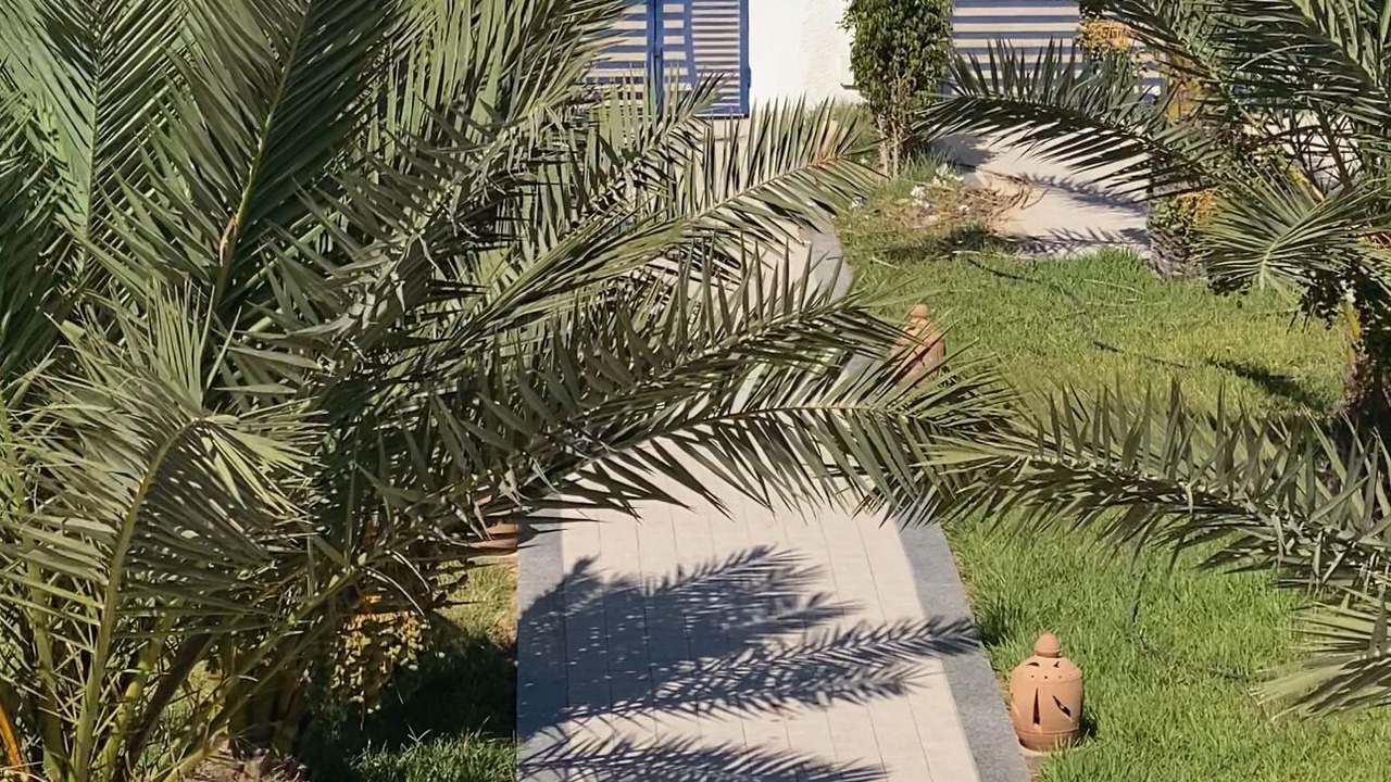 Photo of Outdoor in Mezraia