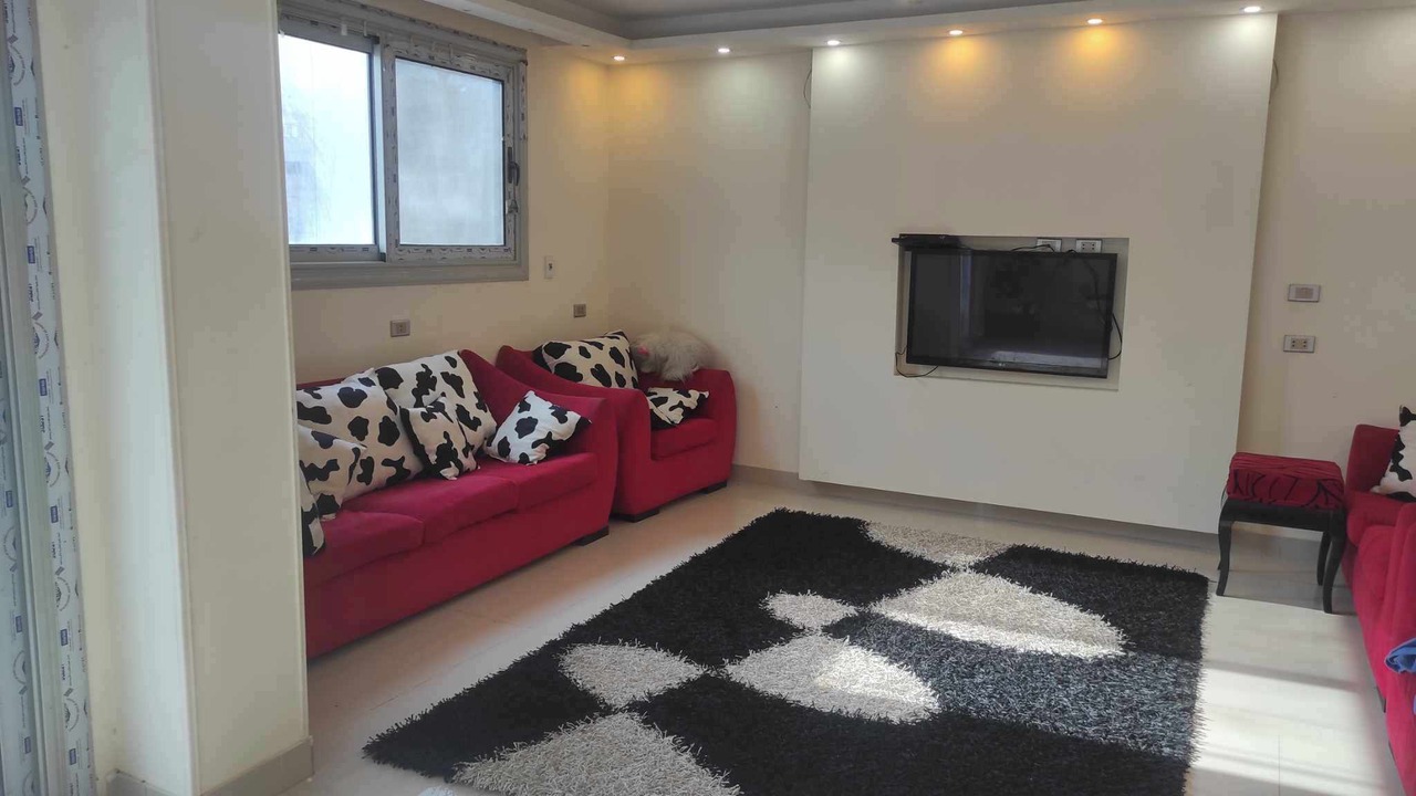 Photo of Livingroom in Cairo