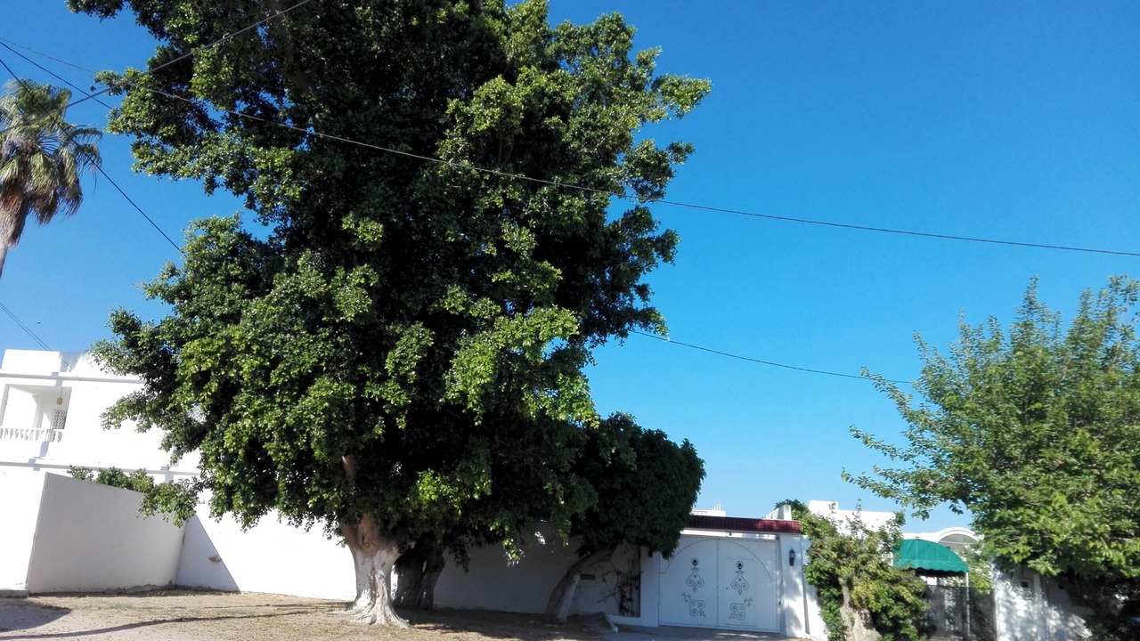 Photo of Outdoor in Hammamet Sud
