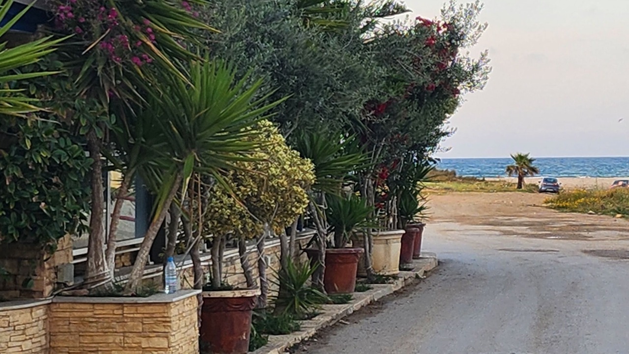 Photo of Outdoor in Bizerte