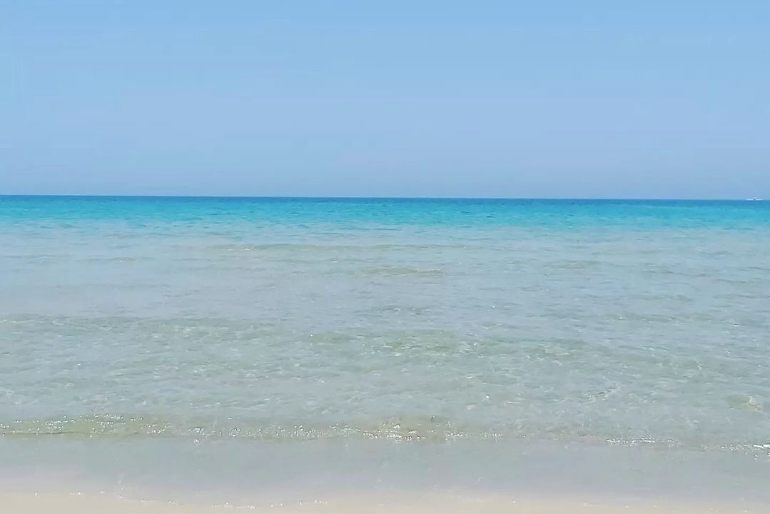 Photo of Others in Bizerte