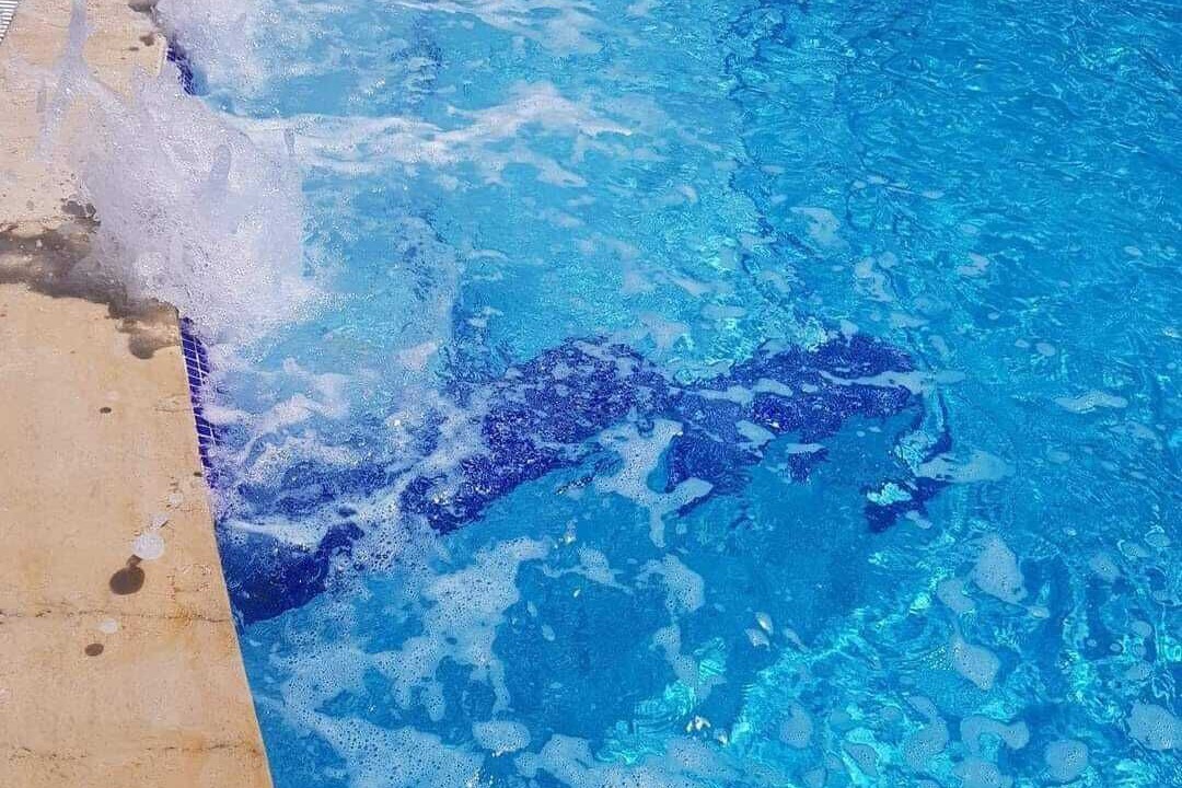 Photo of Outdoor in Monastir