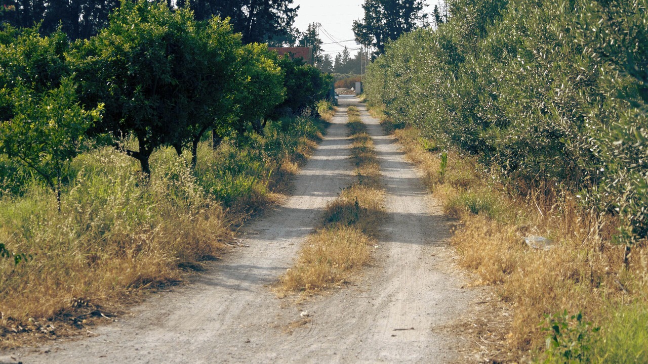 Photo of Others in Nabeul Governorate
