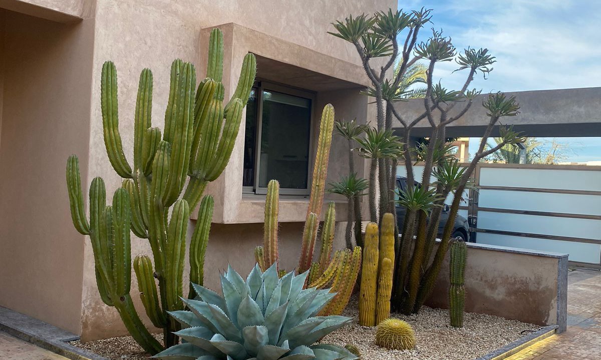 Photo of Outdoor in Hivernage