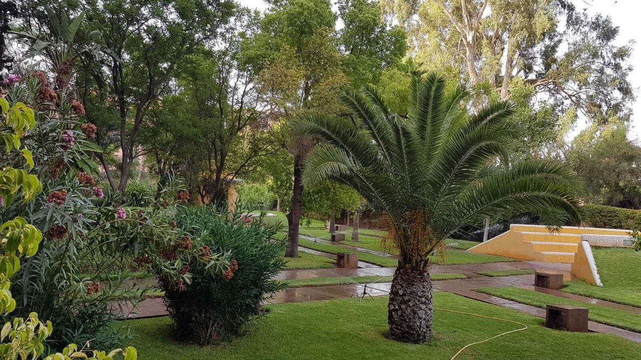 Photo of Outdoor in Hivernage