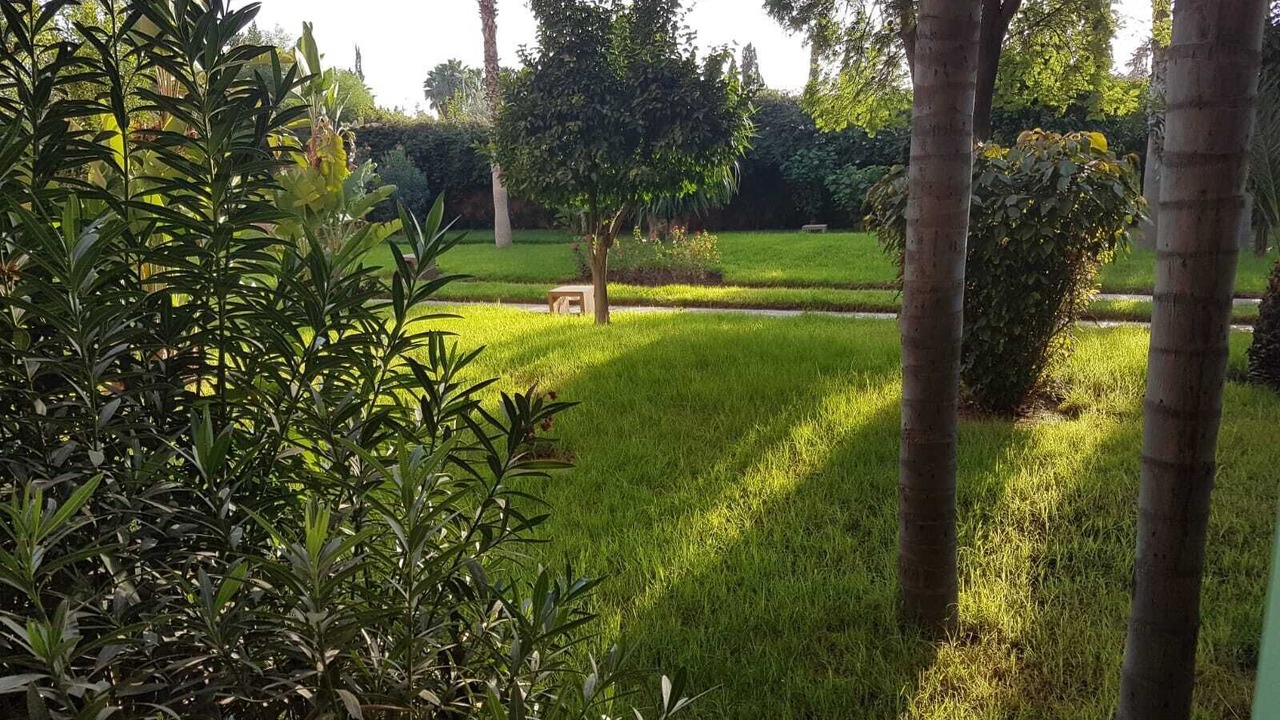 Photo of Outdoor in Hivernage