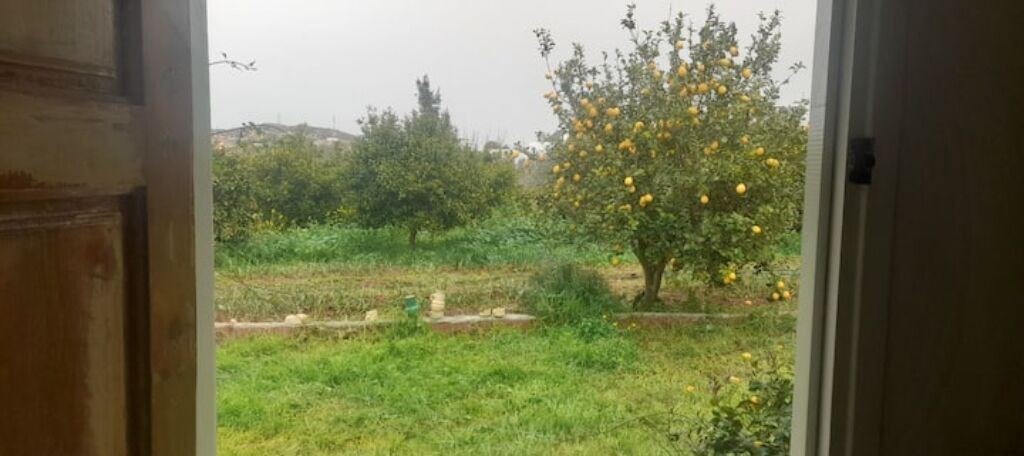 Photo of Others in Ariana Governorate