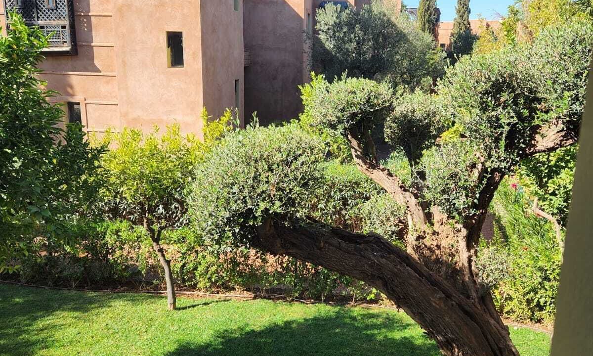 Photo of Outdoor in Arset El Bilk