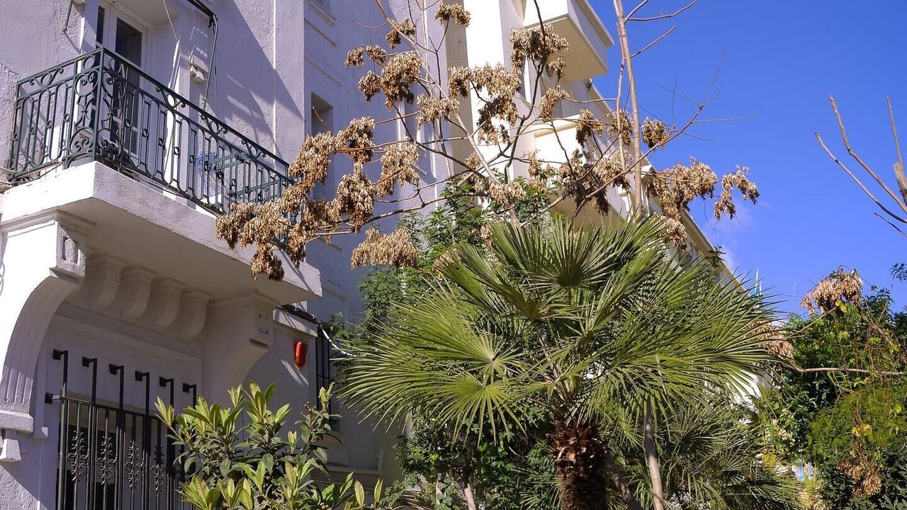 Photo of Outdoor in Tunis