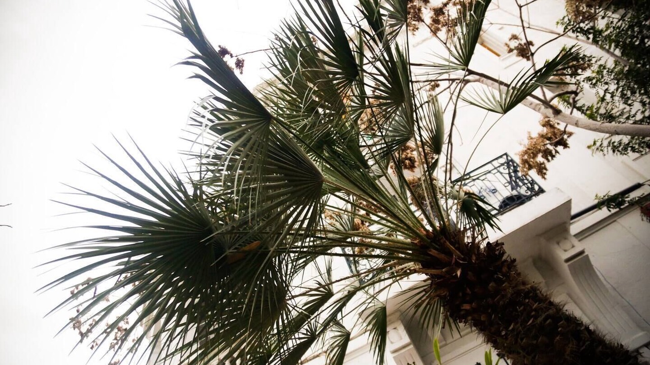 Photo of Outdoor in Tunis