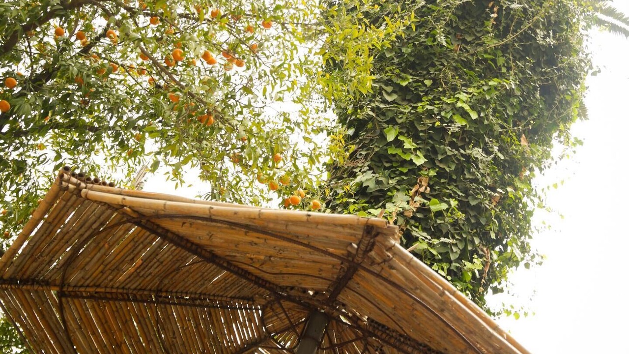Photo of Outdoor in Tunis