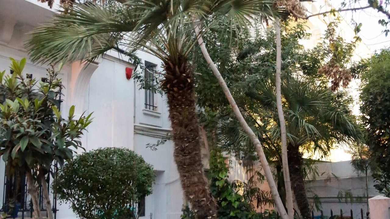 Photo of Outdoor in Tunis