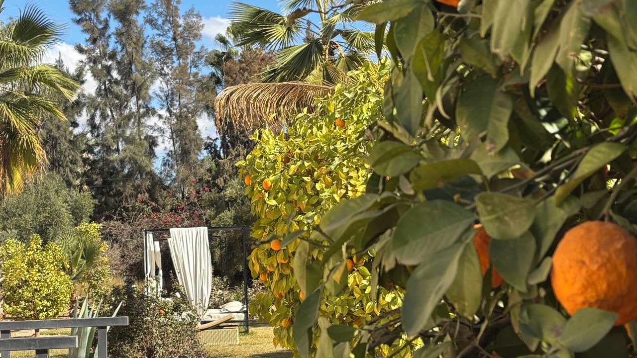 Photo of Outdoor in El Aggada