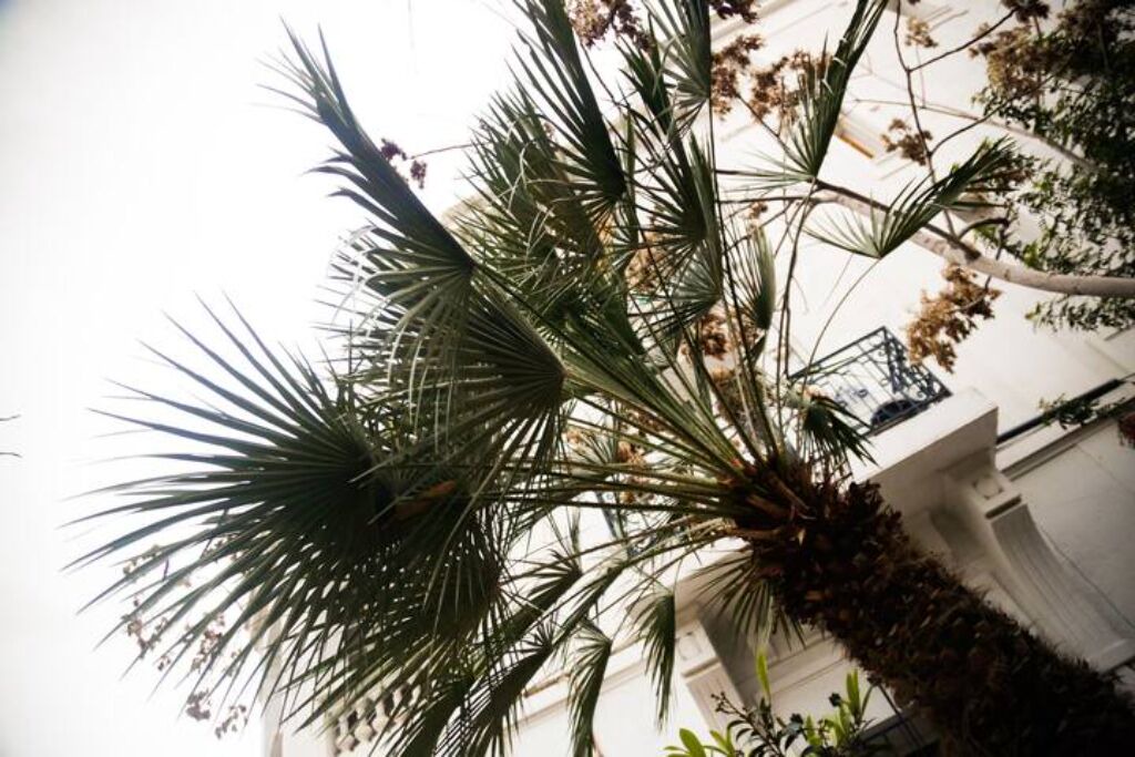 Photo of Outdoor in Jeanne d'Arc