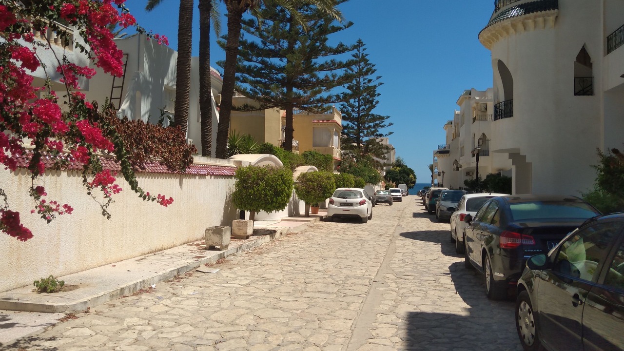 Photo of Outdoor in Chott Mariem
