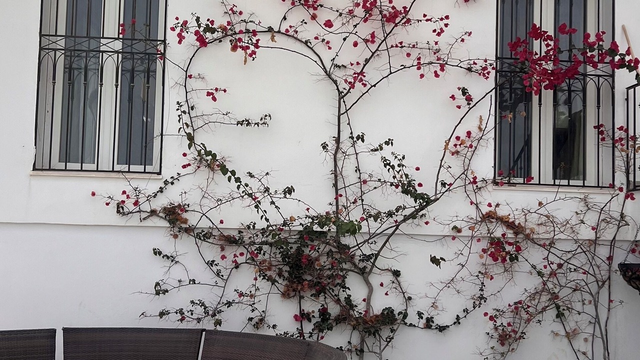 Photo of Patio Balcony in Hammamet Interieure