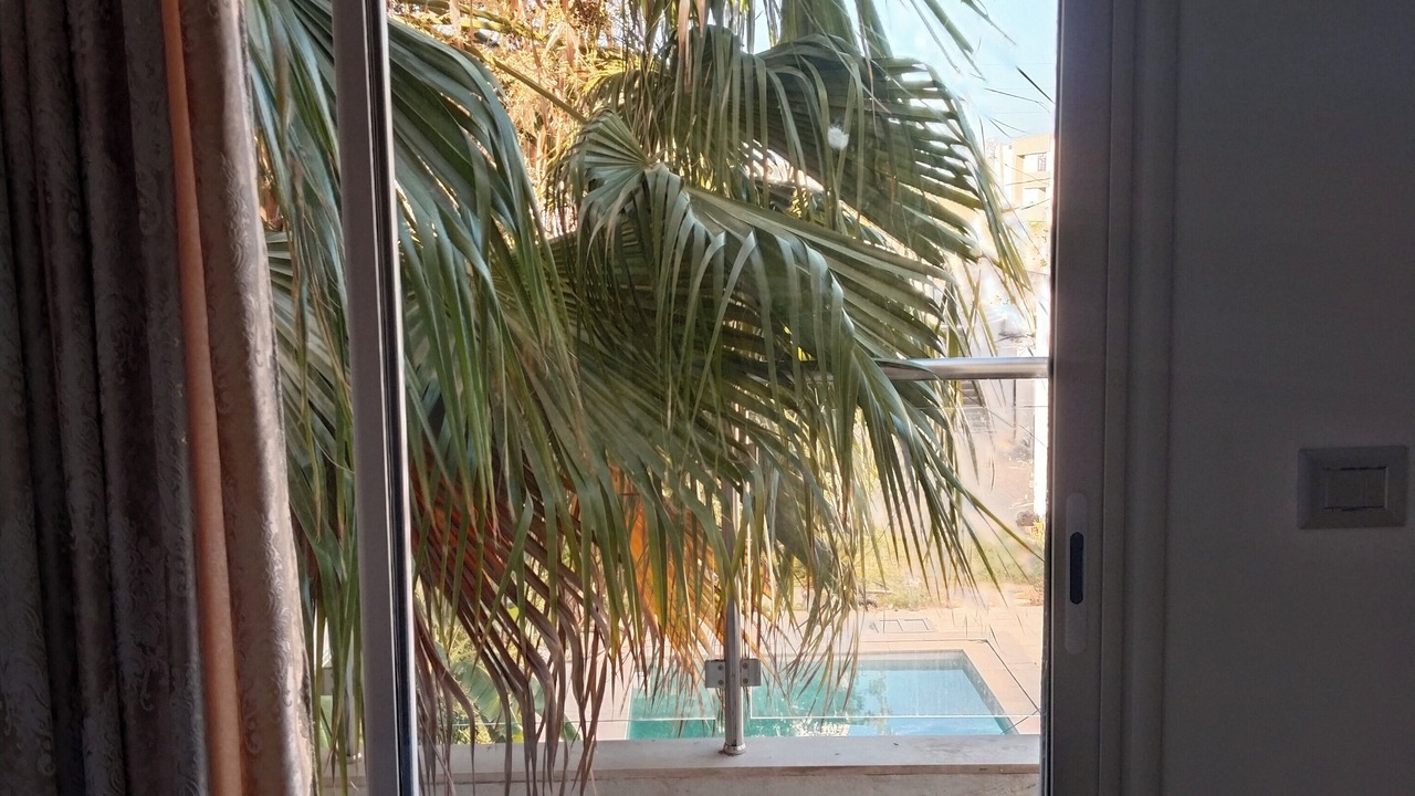 Photo of Others in Tunis