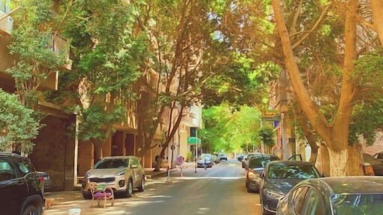 Photo of Others in Zamalek