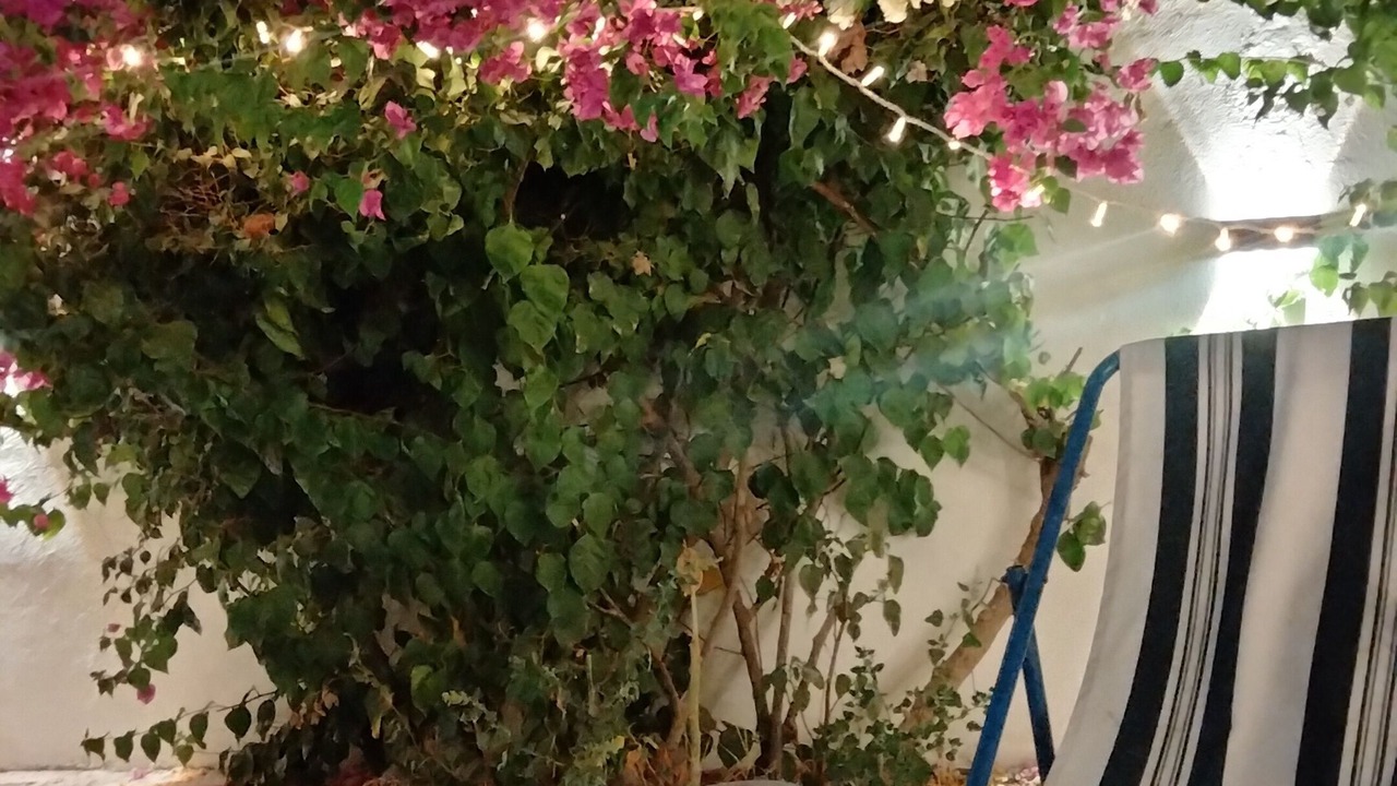 Photo of Patio Balcony in Kairouan