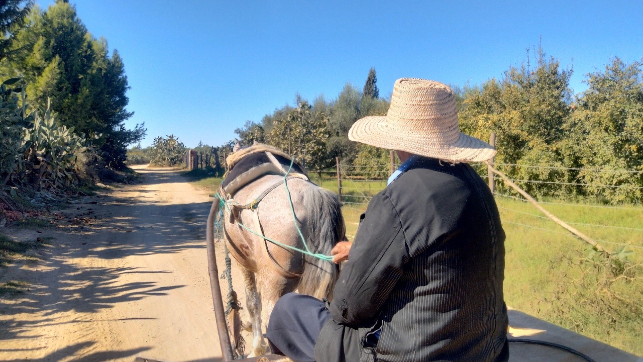 Photo of Others in Kairouan