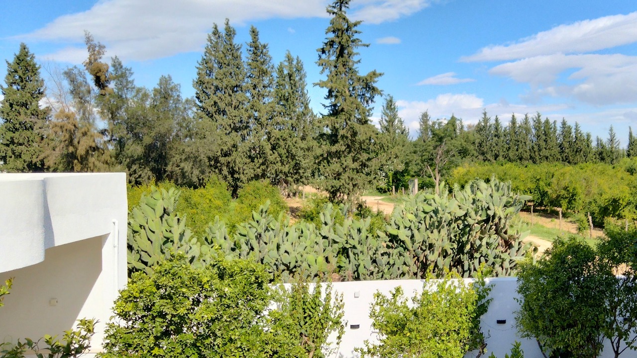 Photo of Outdoor in Kairouan