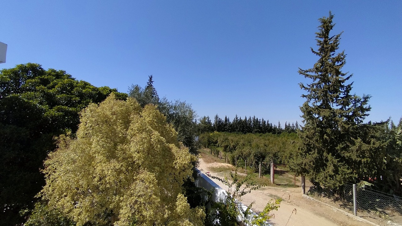 Photo of Outdoor in Kairouan