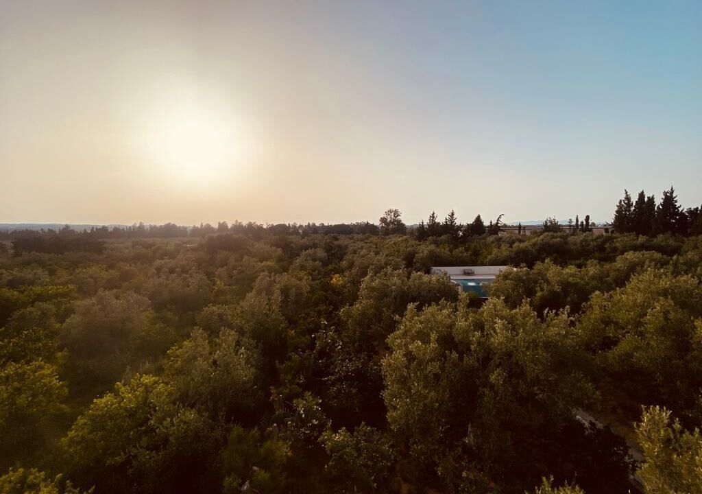 Photo of Outdoor in Tazerka