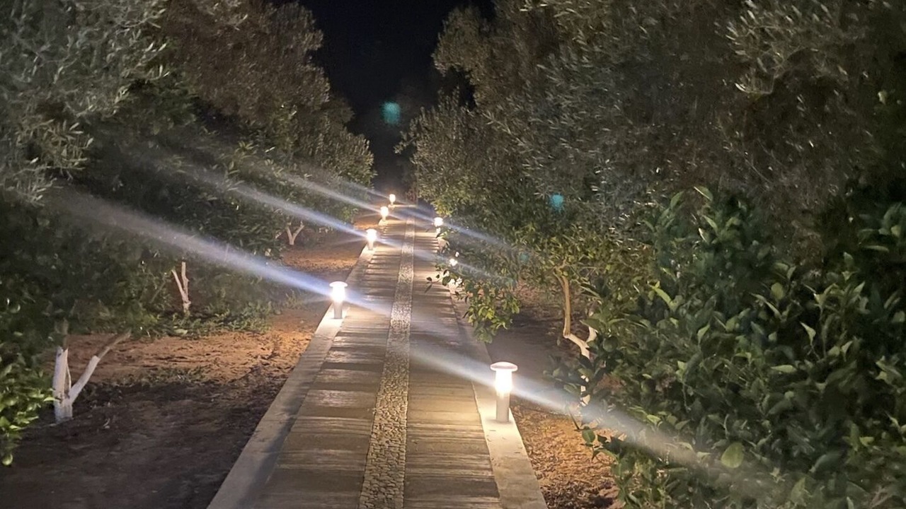 Photo of Outdoor in Tazerka