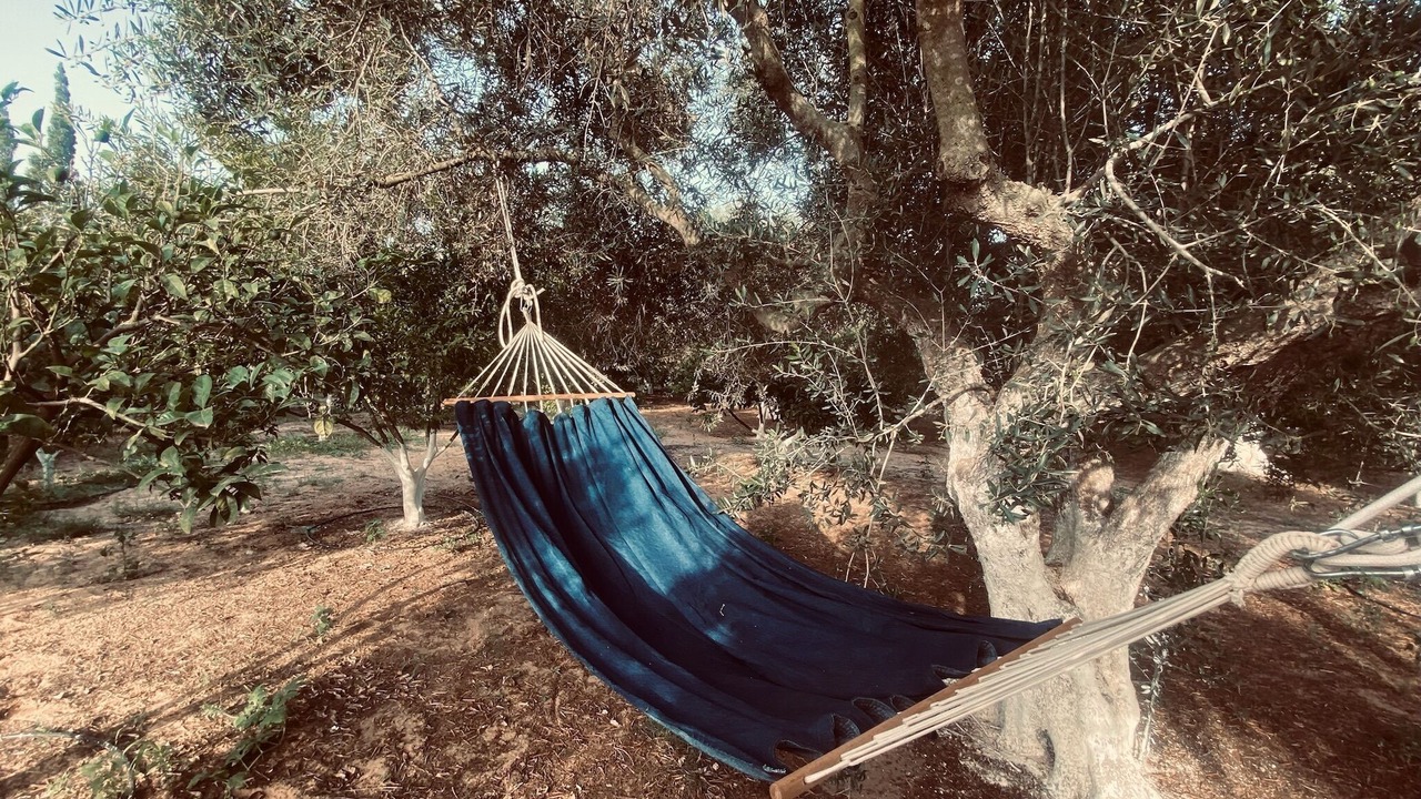 Photo of Outdoor in Tazerka