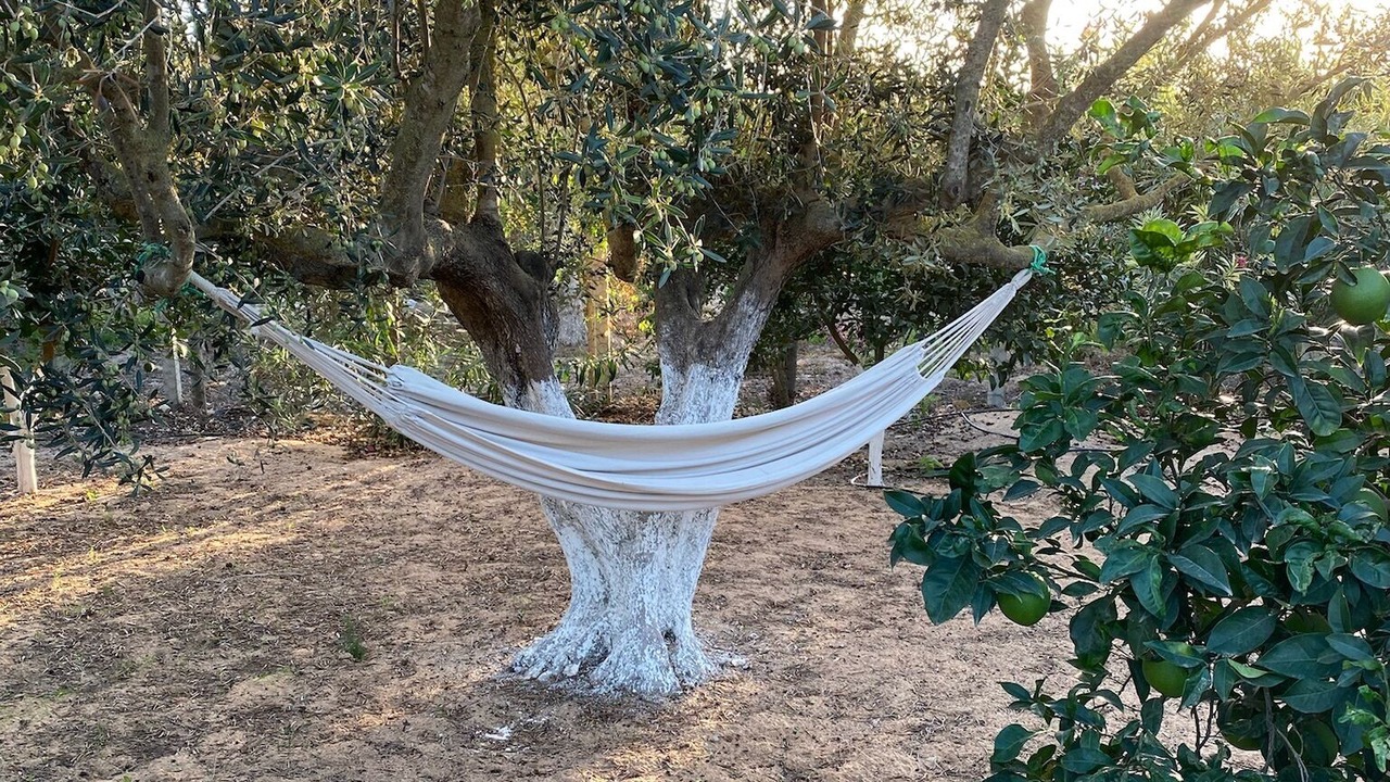 Photo of Outdoor in Tazerka