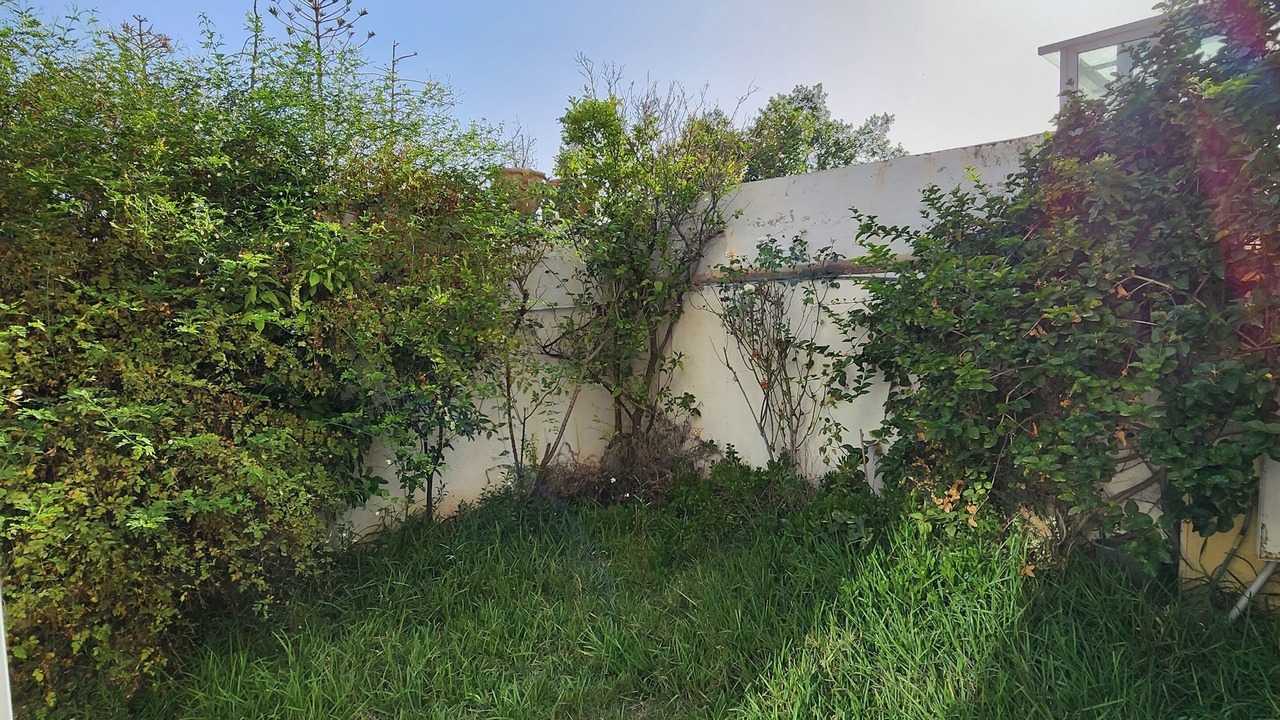 Photo of Outdoor in Aousja