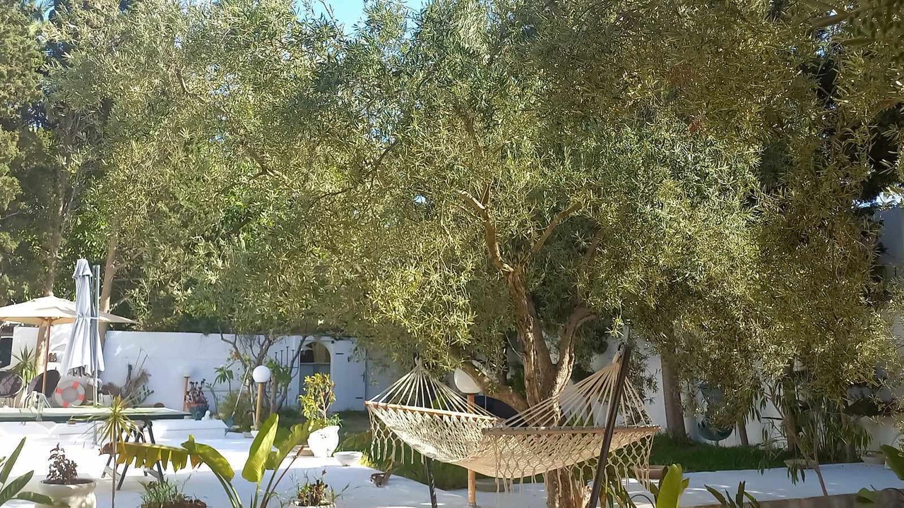 Photo of Outdoor in Monastir