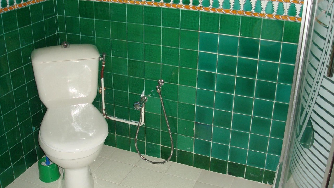 Photo of Bathroom in Chott Mariem