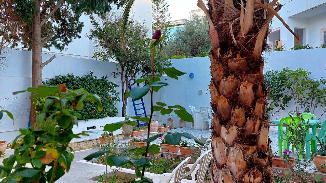 Photo of Patio Balcony in Chott Mariem