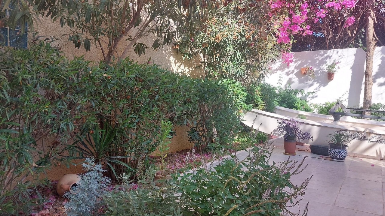 Photo of Outdoor in Chott Mariem