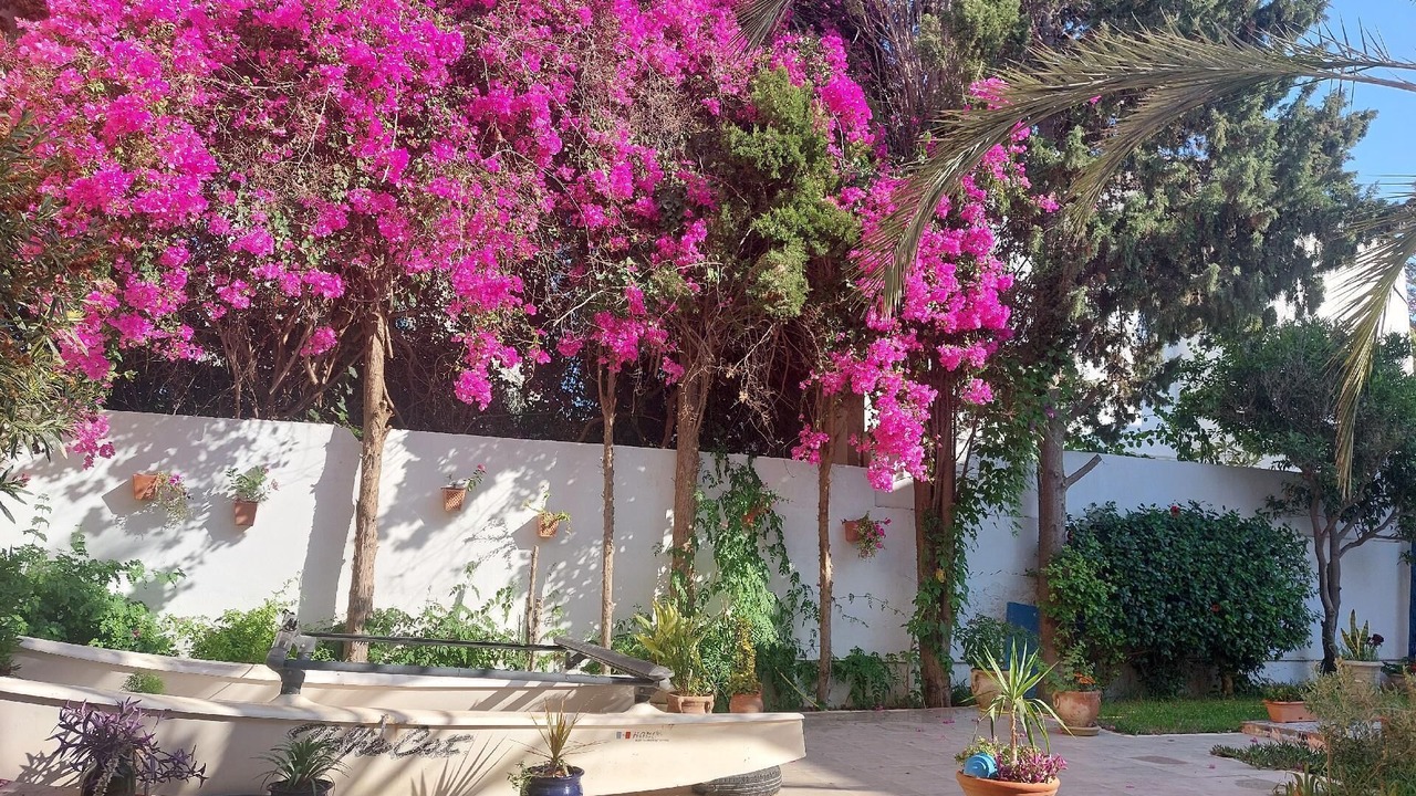 Photo of Outdoor in Chott Mariem