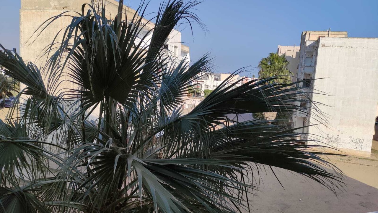 Photo of Outdoor in Pic ville