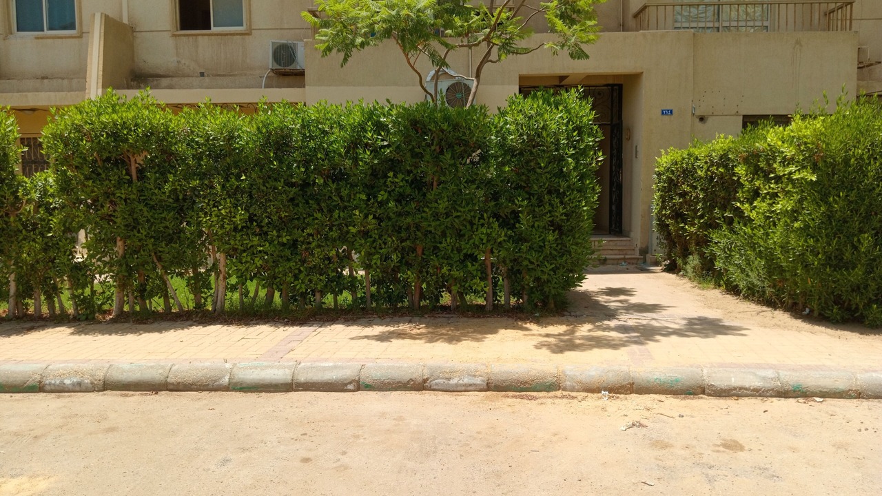 Photo of Outdoor in Sheikh Zayed City