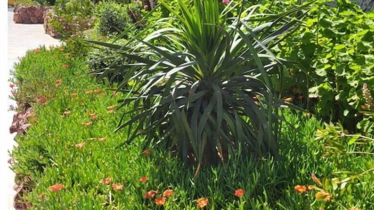 Photo of Outdoor in Hammamet Sud