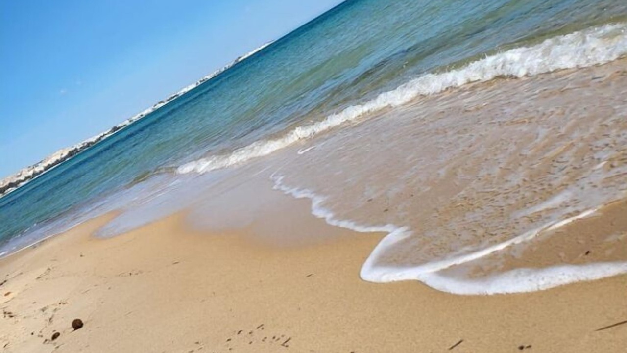 Photo of Others in Hammamet Sud